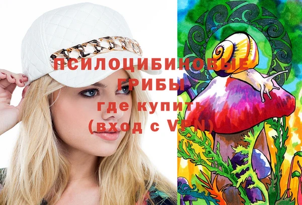 марки lsd Абаза