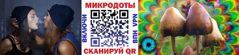 ссылка на мегу маркетплейс  darknet наркотические препараты  Цоци-Юрт  Галлюциногенные грибы прущие грибы  хочу наркоту 